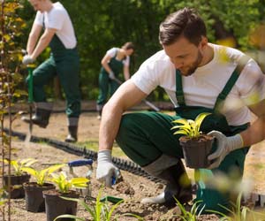 UNIVERSAL Gebäudemanagement und Dienstleistungen GmbH - Leistungen: Garten- und Landschaftsbau, Pflanzen-, Saat und Rasenarbeiten