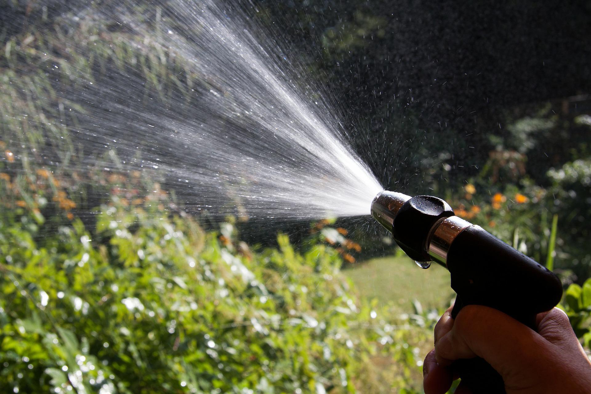 Wasser sparen und frisches Grün genießen: So bewässern Sie Ihren Garten effizient