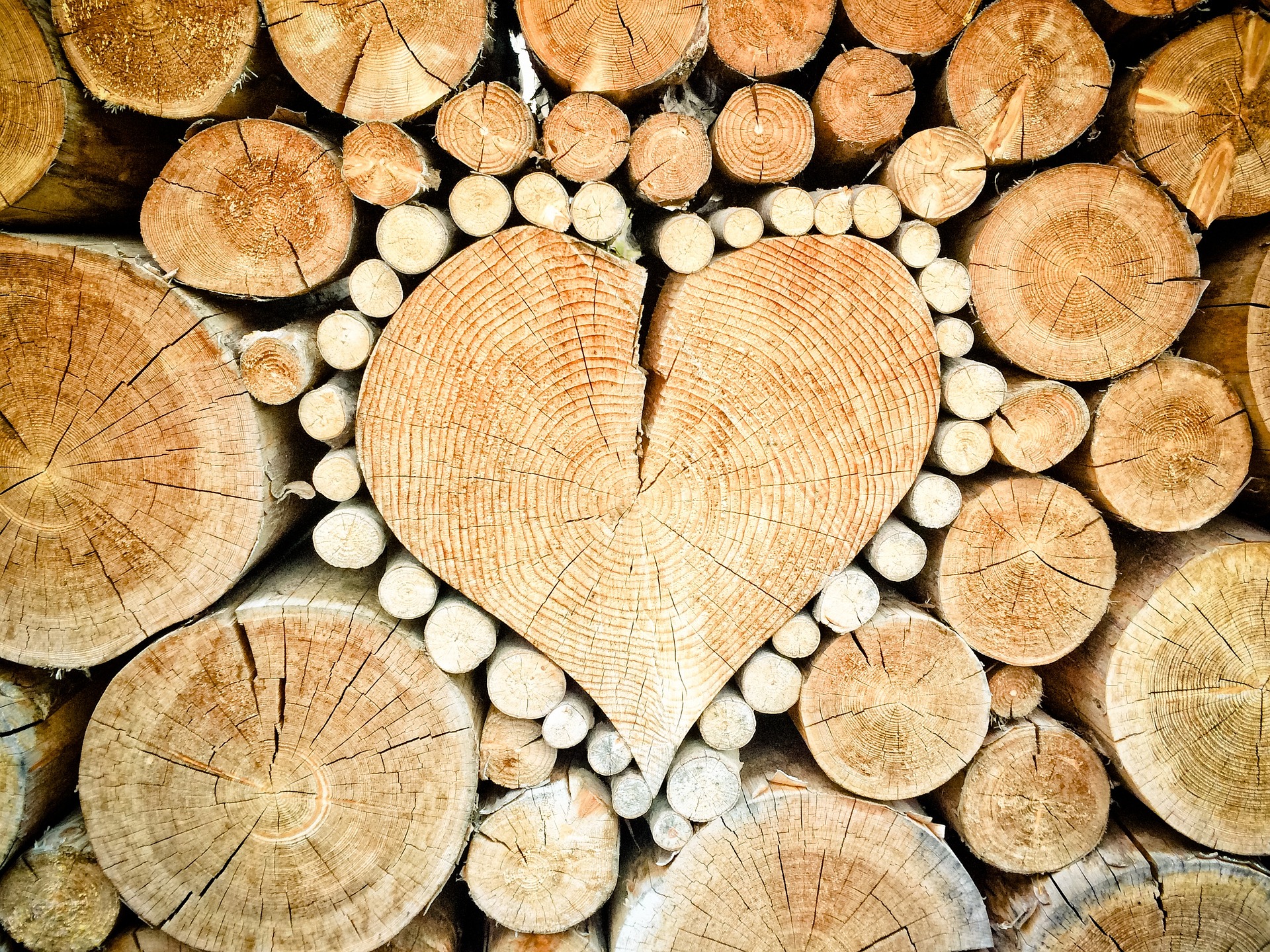 Baumpflege, Gartenbau, Landschaftsbau, Astschnitt, Baumschnitt, Baumpflege, Entsorgung, Zum Stapel geschichtete Holzstämme, in der Mitte ist ein Herz geformt.