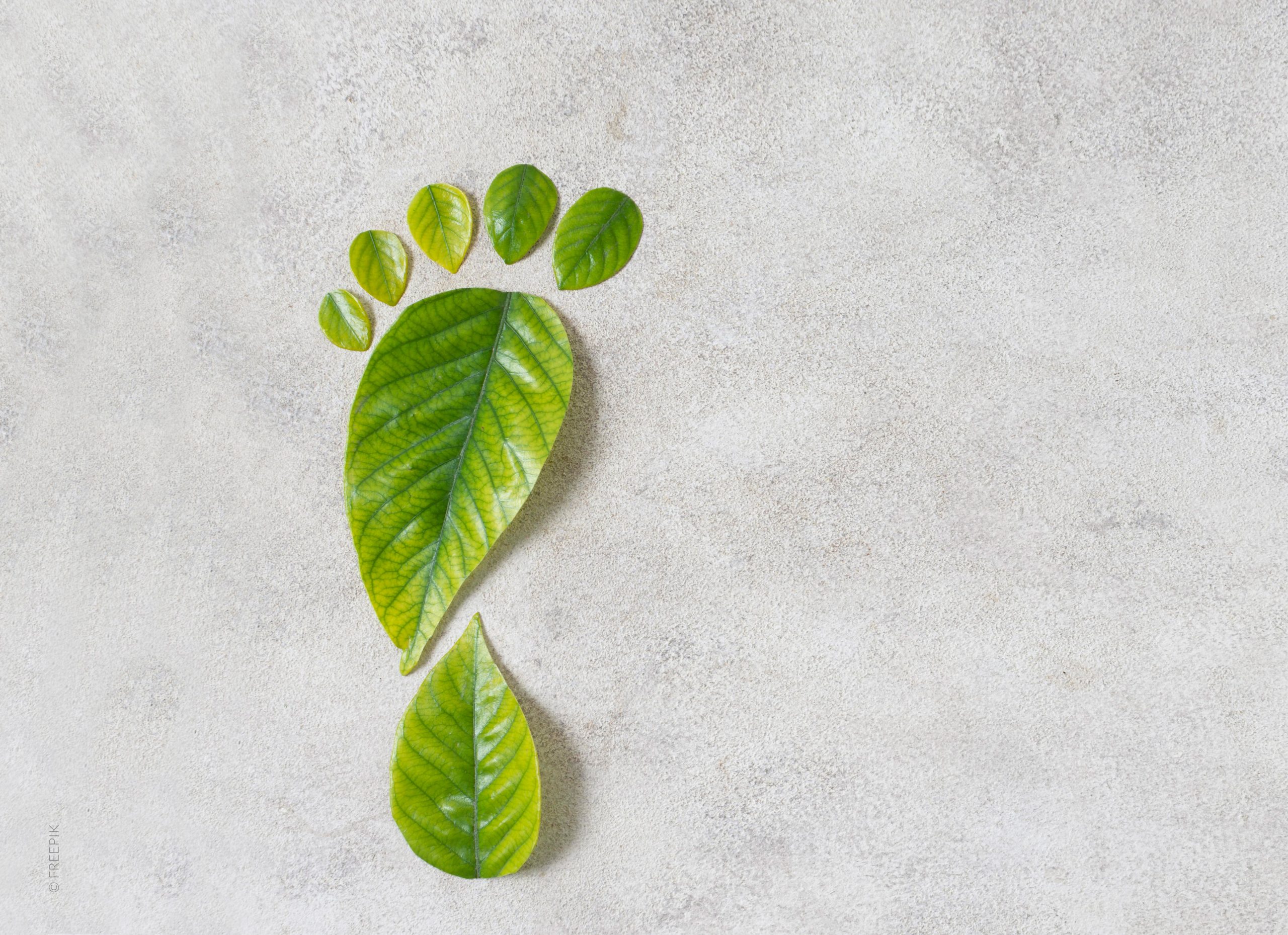 grauer Hintergrund, Blätter in Form eines Fußes, ökologischer Fußabdruck, grüne Blätter liegen auf neutralem Boden, Umweltschutz